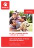 La Pet Community d Italia di contatti. La Brochure ufficiale dei Servizi Advertising di Dogalize