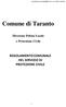 Comune di Taranto. Direzione Polizia Locale e Protezione Civile REGOLAMENTO COMUNALE DEL SERVIZIO DI PROTEZIONE CIVILE