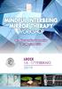 MINDFUL INTERBEING MIRROR THERAPY WORKSHOP LECCE FEBBRAIO. Dr. Alessandro Carmelita Dr. Marina Cirio