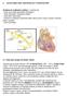 3. ANATOMIA DEL SISTEMA DI CONDUZIONE