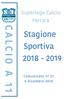 Superlega Calcio Ferrara. Stagione Sportiva