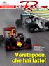 GP BRASILE Hamilton vince, Rosberg vede il titolo, ma è Verstappen a infiammare con una gara d altri tempi Verstappen, che hai fatto!