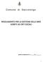 Comune di Saccolongo REGOLAMENTO PER LA GESTIONE DELLE AREE ADIBITE AD ORTI SOCIALI. Approvato con deliberazione di C.C. n. del