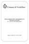 Comune di Verdellino. REGOLAMENTO PER L AFFIDAMENTO DI INCARICHI ESTERNI (Art. 3, comma 56, della Legge 244/2007)