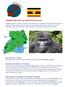 UGANDA LOW COST con Gorilla Permit incluso