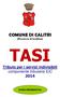 COMUNE DI CALITRI (Provincia di Avellino) TASI. Tributo per i servizi indivisibili componente tributaria IUC 2014 GUIDA INFORMATIVA