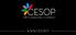 CESOP. HR Consulting Company.