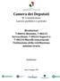 Camera dei Deputati XI Commissione Lavoro pubblico e privato