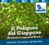 Il Poligono del Giappone