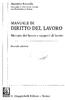 DIRITTO DEL LAVORO MANUALE DI. Mercato del lavoro e rapporti di lavoro. Massimo Roccella. G. Giappichelli Editore - Torino.