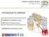 MISSIONE ESPLORATIVA. Passeggiata urbana PASSEGGIATA URBANA. DOMENICA 10 MARZO 2019 ORE 9:30 in Piazza Cavour BARBERINO DI MUGELLO (FI)