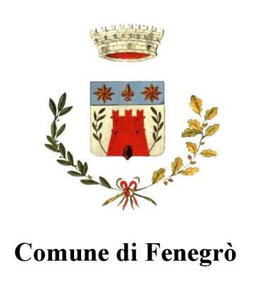 Relazione sui SERVIZI PUBBLICI LOCALI del COMUNE di FENEGRO RELAZIONE