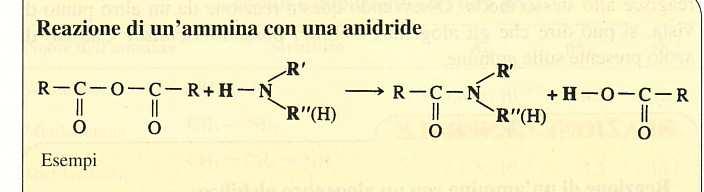 H H Ammina + Acido (attivato) Le PROTEINE sono polimeri di aminoacidi.