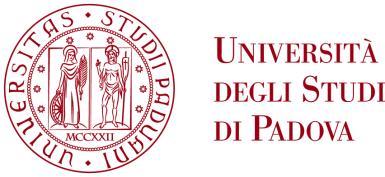 Convention for the Co-tutelage of doctoral thesis Convenzione di Co-tutela di tesi di dottorato di ricerca Following the Framework Agreement on the Co-tutelage of doctoral thesis signed on the 7th