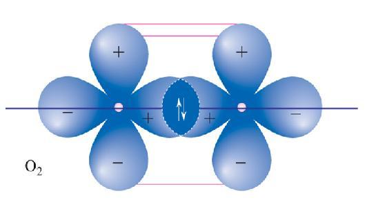 O Molecola di O 2 π σ p x p y p z