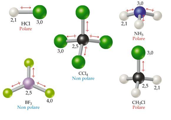 La polarità di ciascun legame e della molecola nel complesso dipenderà dalla