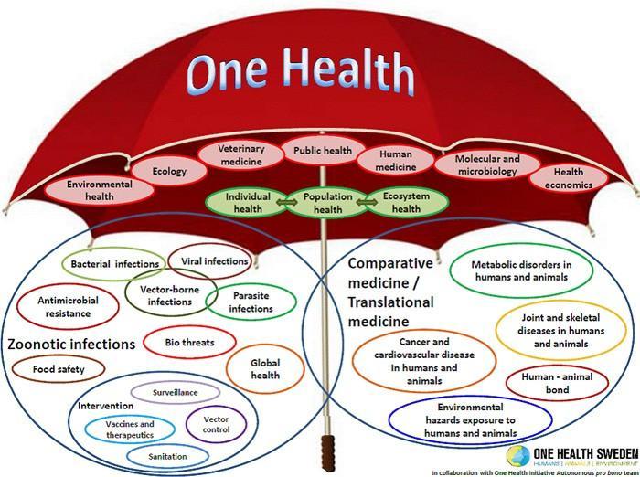 ONE HEALTH - ONE MEDICINE: linking human, animal and environmental health UNA SOLA SALUTE UNA SOLA