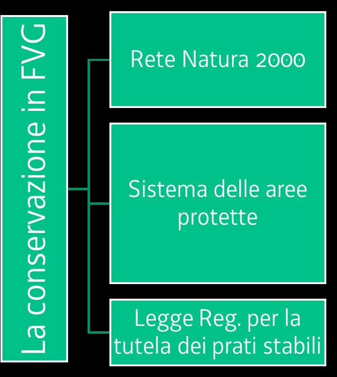 La conservazione in regione FVG