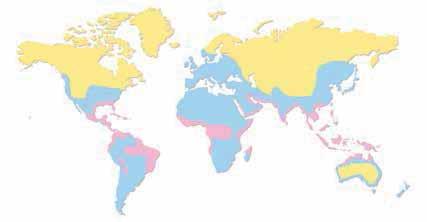 delle zone climatiche. CLIMA FREDDO E/O SECCO Europa del nord, Canada, USA del Nord, Asia Centrale. CLIMA TEMPERATO Europa centrale e del Sud, America Centrale.