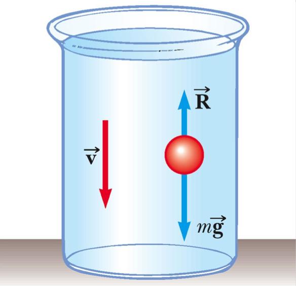 Moto in un fluido, esempio Caduta di un grave in un fluido, con resistenza proporzionale alla velocità: mg bv = ma a = dv dt = g b m v Si tratta di un