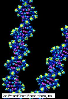 Mutazione di geni chiave