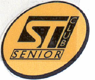 Senior Club - Agrate Brianza Senior Club - Castelletto c/o STMicroelectronics c/o STMicroelectronics via C.