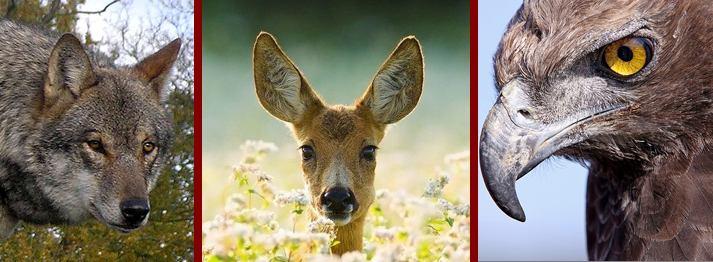 Si giunge sotto al santuario, che appare sospeso su un'altissima rupe. Si entra da un ingresso secondario e si compie la visita completa del celebre complesso.