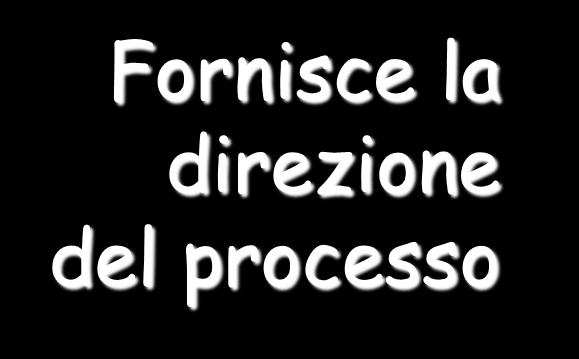 processo Fornisce il