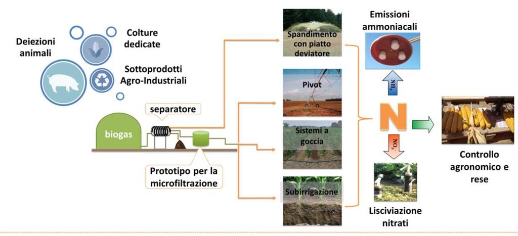 Obiettivo LIFE ARIMEDA: Sostenibilità della fertirrigazione con digestato Dimostrare la riduzione potenziale di emissioni ammoniacali ricorrendo a tecniche di fertirrigazione con liquame/digestato