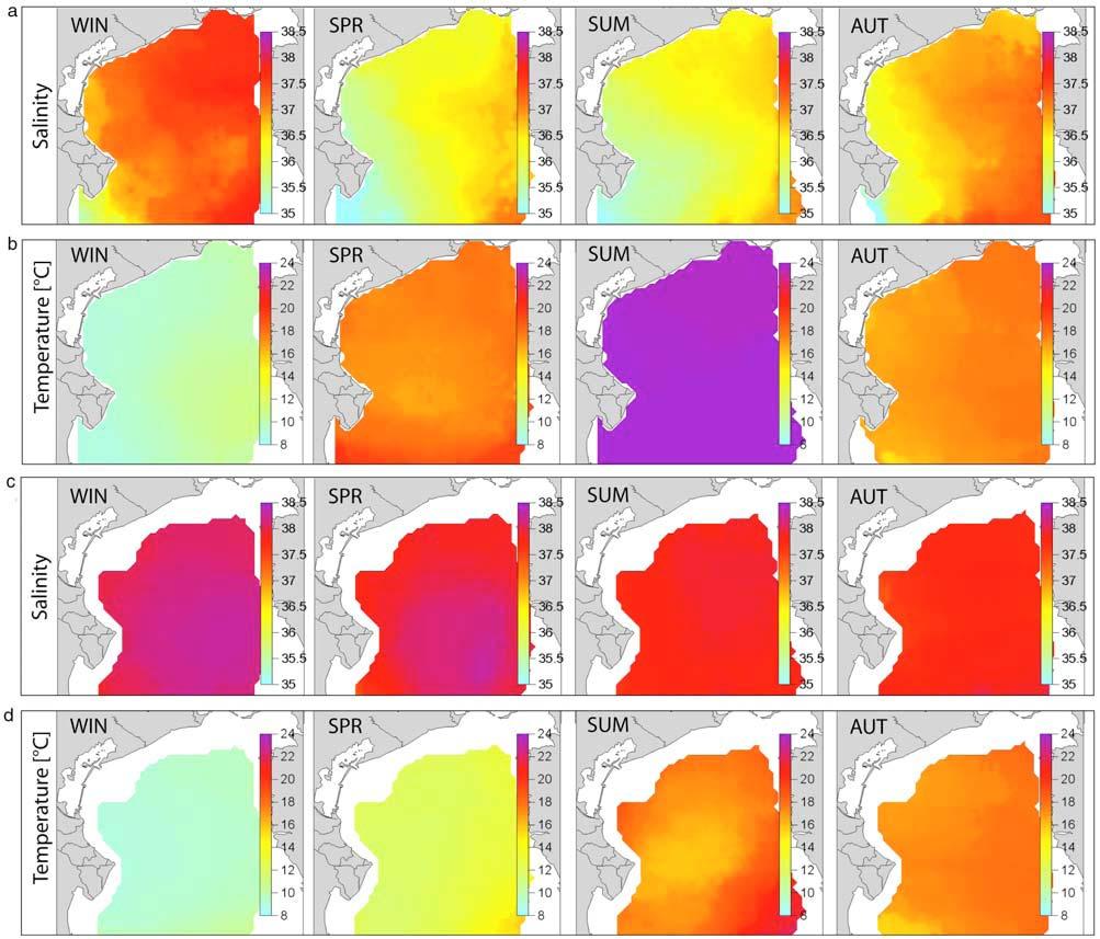 Pattern spaziali e stagionali Climatologia del bacino Current state, scales of variability, and