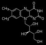 COENZIMI FLAVINICI FAD (FLAVINA ADENINA DINUCLEOTIDE) FMN (FLAVINA MONONUCLEOTIDE) Derivano dalla riboflavina (vitamina B2) 7,8-dimetil-isoallossazina 7 8 10 Ribitolo legato in N-10 Sono saldamente