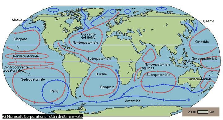 Le correnti superficiali Le correnti oceaniche sono simili a grandi fiumi che scorrono nel mare. Le loro acque hanno temperatura e salinità diverse da quelle delle acque circostanti.