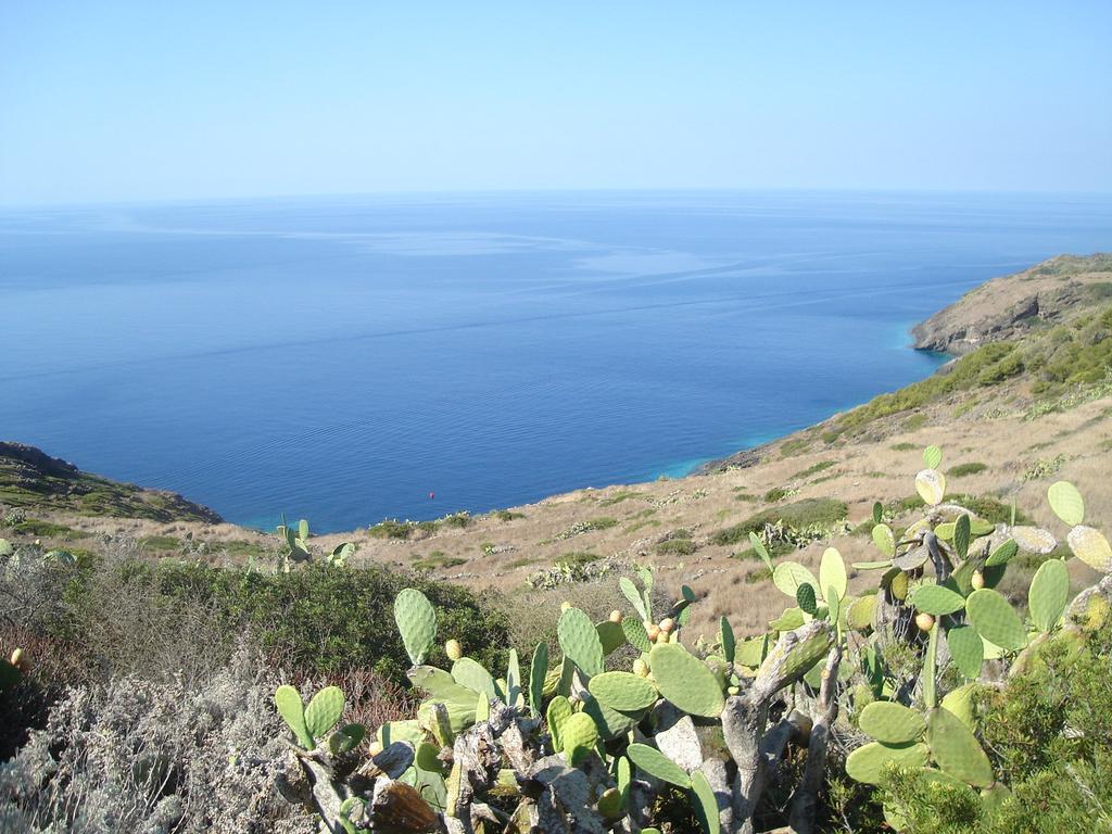 La manifestazione è organizzata dalla Condotta delle Isole Slow Siciliane e dall associazione turistica