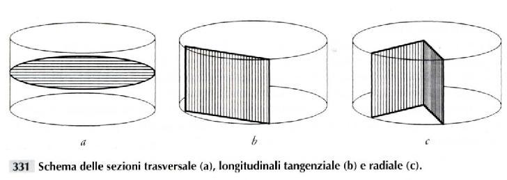 longitudinale radiale Combinando insieme le informazioni provenienti da