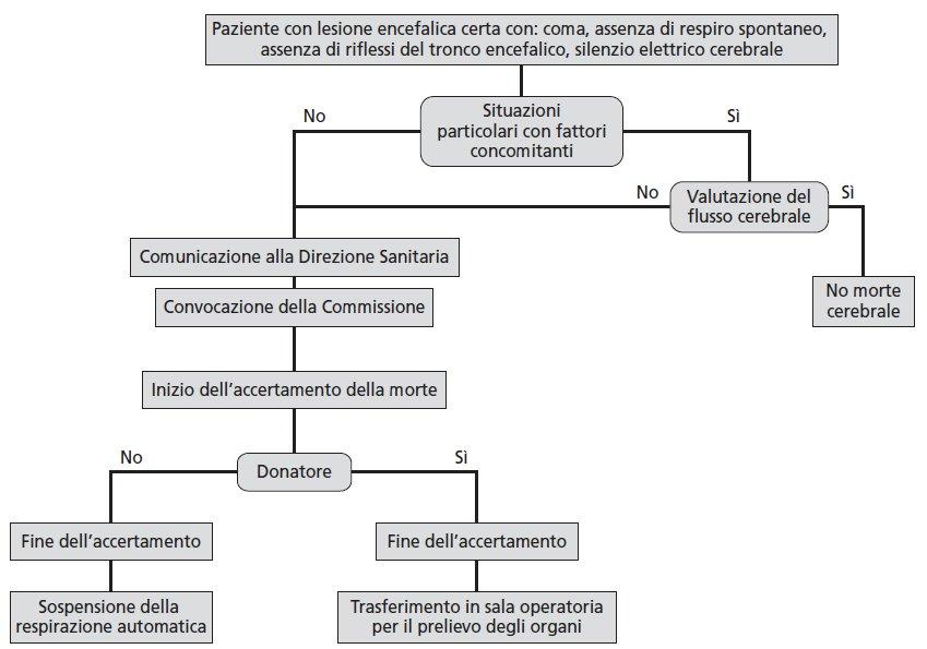 23 Sintesi dell iter che, partendo dalla constatazione della morte cerebrale, conduce o all espianto degli organi, in caso di soggetto donatore, o comunque al distacco del respiratore 1) il sistema