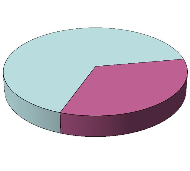 9 COMPOSIZIONE DEL COLLEGIO SINDACALE PER GENERE (AL 31 DICEMBRE 2015) In conformità a quanto previsto dallo Statuto Sociale il Collegio Sindacale è composto da tre sindaci effettivi e tre supplenti