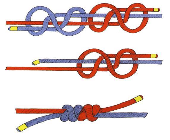 NODO INGLESE DOPPIO O A CONTRASTO UTILIZZO: serve per formare anelli di cordino e per la giunzione di corde aventi diametri diversi
