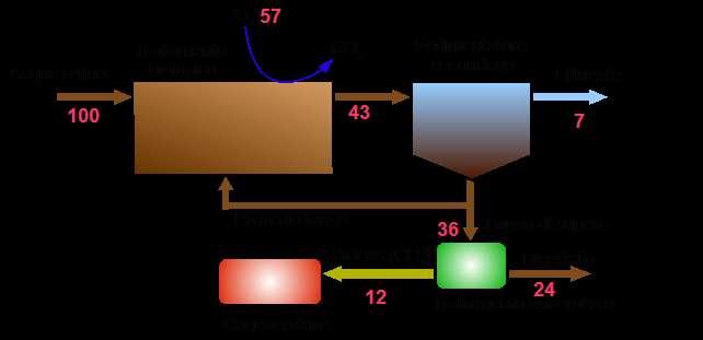 Flusso del COD e bilancio di massa Esempio ipotetico di flusso di