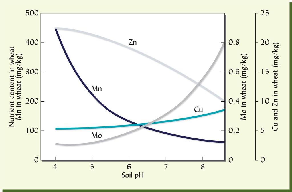 Effect of soil ph on the concentrations of manganese, zinc, copper, and molybdenum in wheat plants.
