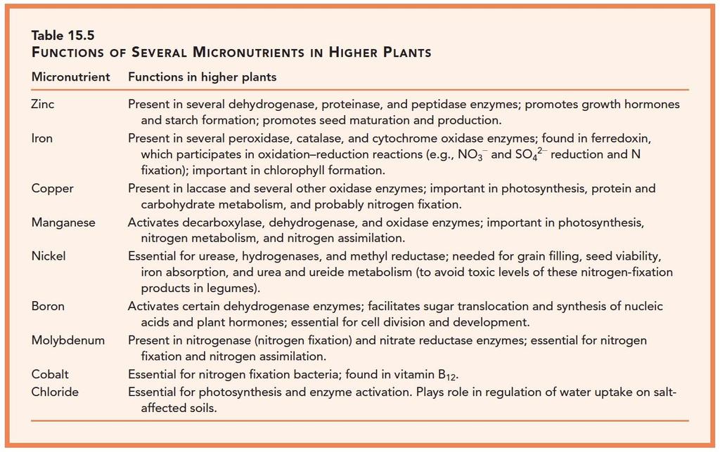 I micronutrienti: