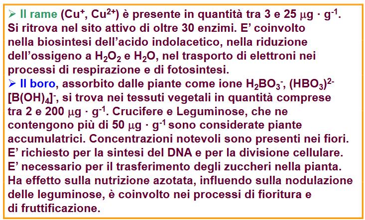 I micronutrienti: