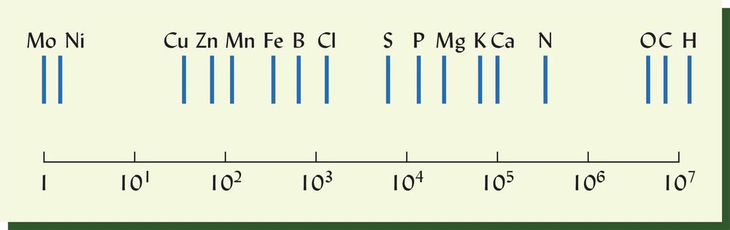 Note that there are more than 10 million hydrogen atoms for each molybdenum atom.