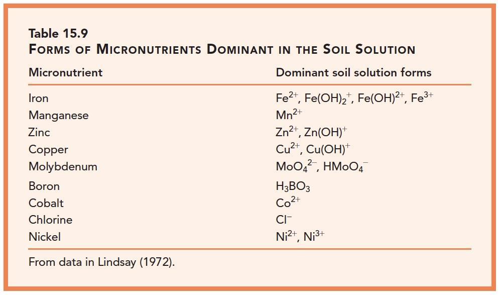 I micronutrienti: