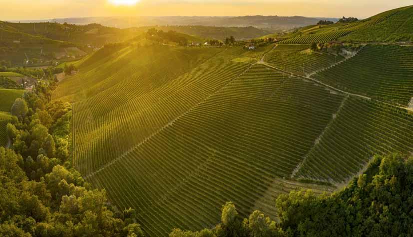 VIGNA GIAIA BARBARESCO DOCG