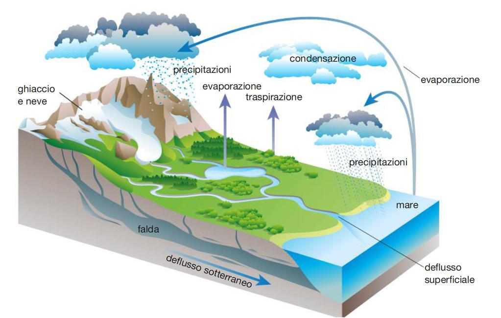 Il ciclo dell acqua Il ciclo idrologico è la circolazione continua delle molecole d acqua che si spostano dagli oceani all