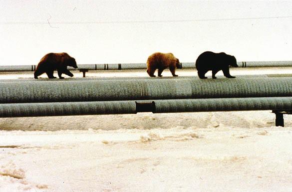 Condotte per il trasporto di idrocarburi Esistono nel