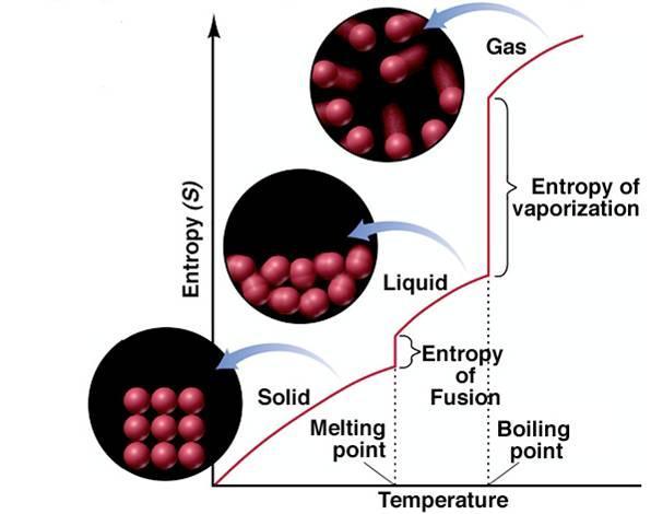 Entropia e