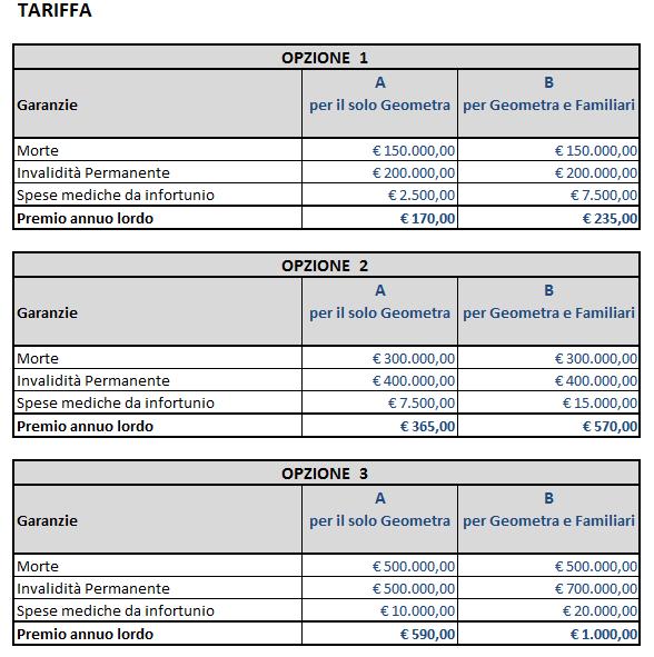 1. Operatività delle garanzie 24 H, sia in ambito professionale che extra professionale. 2. OPZIONI B Per nucleo famigliare si intende il geometra, il coniuge e/o more uxorio ed i figli risultati da stato famiglia.