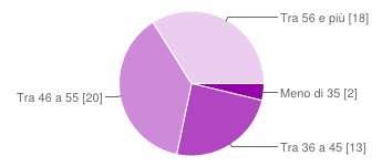 Quanti anni ha? Meno di 35 2 3.8% Tra 36 a 45 13 24.5% Tra 46 a 55 20 37.