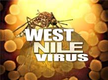 2 del 20 /08 /2010 Sul bollettino sono riassunte le attività di sorveglianza della West Nile Disease (WND) svolte in Emilia-Romagna dal Servizio Sanitario Regionale (Aziende Sanitarie, IZSLER, Centro